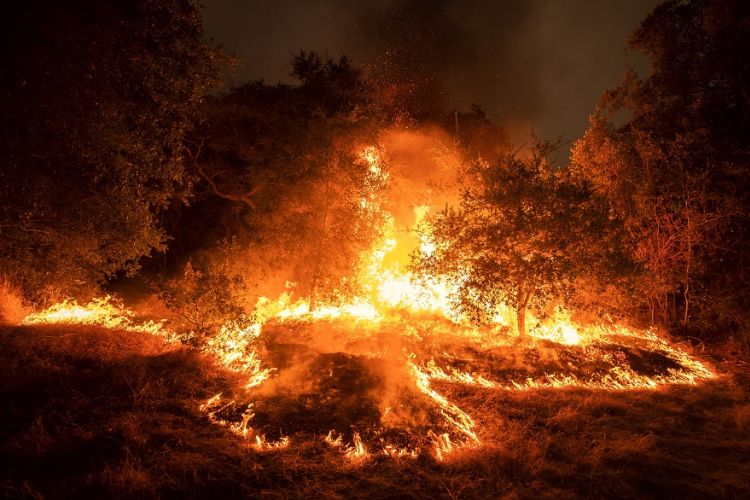 Ανυπολόγιστο το κόστος από τις πυρκαγιές του Σαββατοκύριακου σε Ελλάδα και Κύπρο