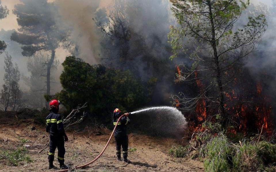 Φωτιά γίγας: Στα 11,5 χιλιόμετρα το μέτωπο της πυρκαγιάς στην Εύβοια!