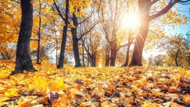 10 πράγματα να κάνεις αυτό το φθινόπωρο | Της Έλενας Τσακιρίδου