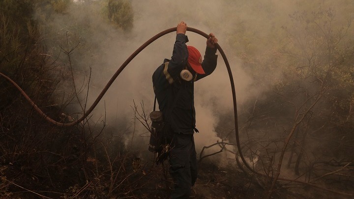 Νέα Μάκρη: Ολονύχτια μάχη με τις φλόγες - Μήνυμα από το 112 στους κατοίκους